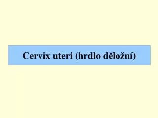 Cervix uteri (hrdlo d ě lo ž ní)