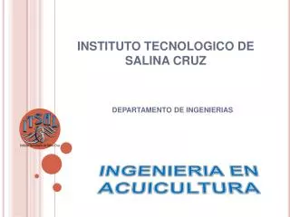 INSTITUTO TECNOLOGICO DE SALINA CRUZ