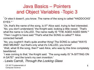 Java Basics – Pointers and Object Variables -Topic 3