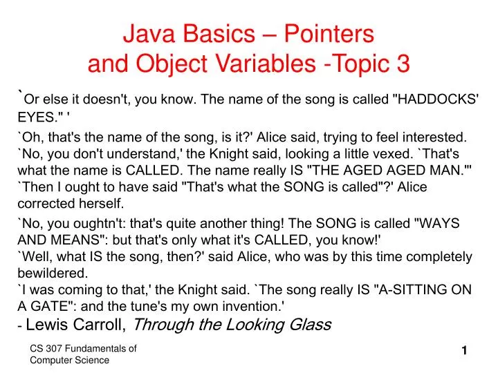 java basics pointers and object variables topic 3
