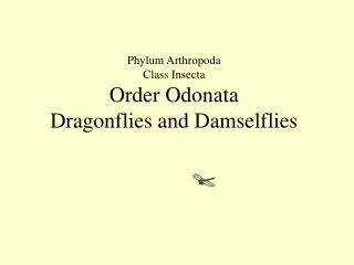 Phylum Arthropoda Class Insecta Order Odonata Dragonflies and Damselflies