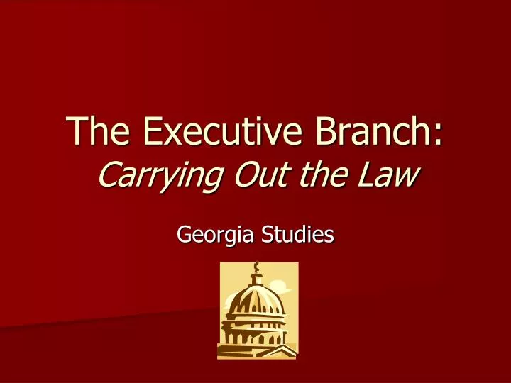 the executive branch carrying out the law