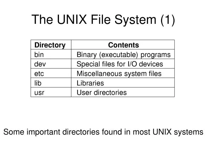 the unix file system 1