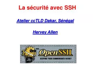 atelier cctld dakar s n gal hervey allen