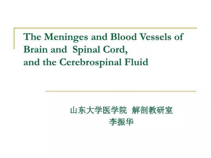 the meninges and blood vessels of brain and spinal cord and the cerebrospinal fluid
