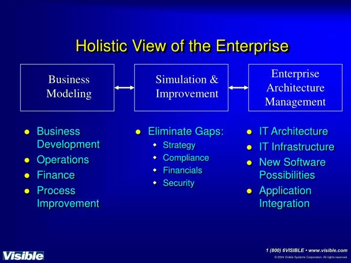 holistic view of the enterprise