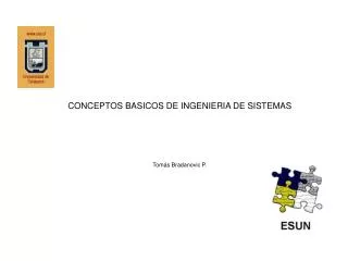 CONCEPTOS BASICOS DE INGENIERIA DE SISTEMAS Tomás Bradanovic P.