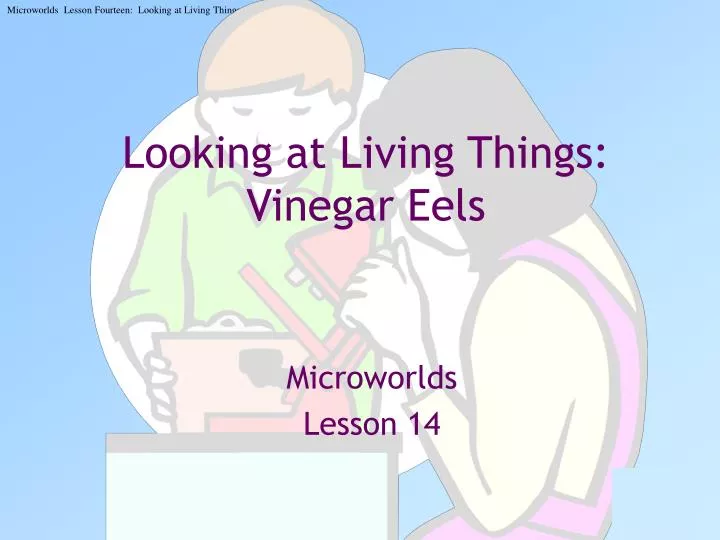 looking at living things vinegar eels
