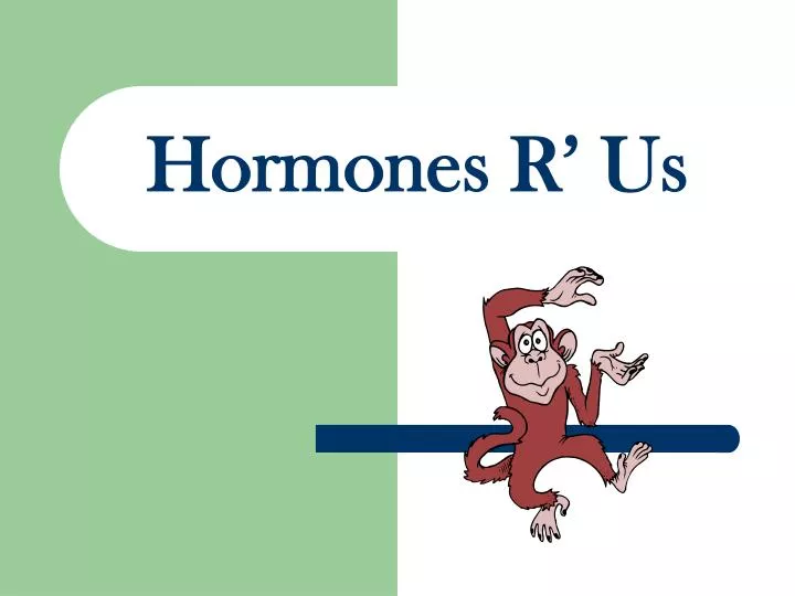 hormones r us