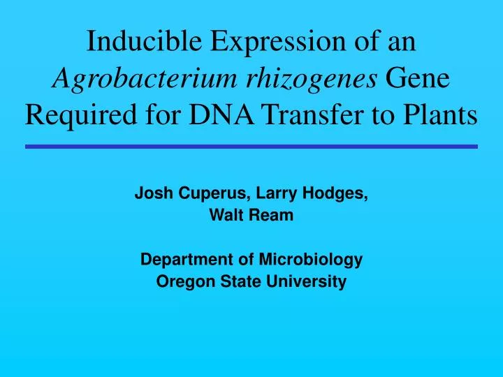 inducible expression of an agrobacterium rhizogenes gene required for dna transfer to plants