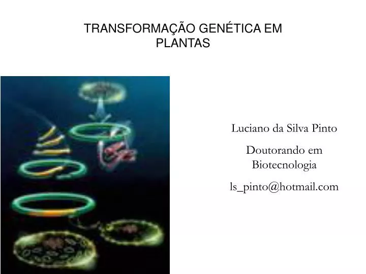 transforma o gen tica em plantas