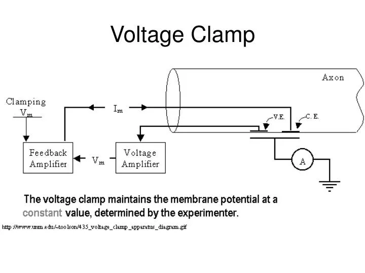 voltage clamp