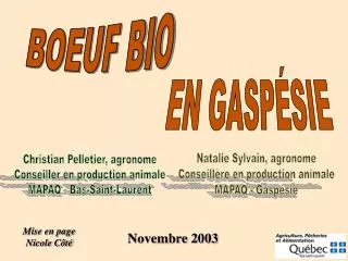 BOEUF BIO