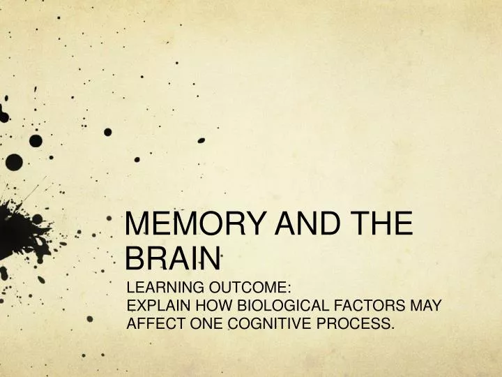 memory and the brain
