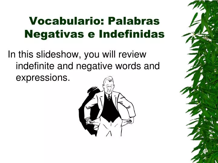 vocabulario palabras negativas e indefinidas