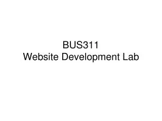 BUS311 Website Development Lab
