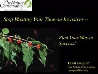 Stop Wasting Your Time on Invasives –