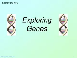 Exploring Genes