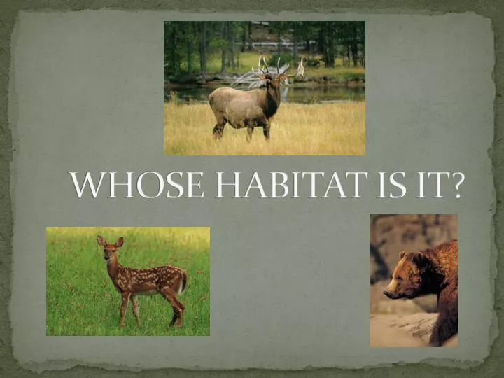 whose habitat is it