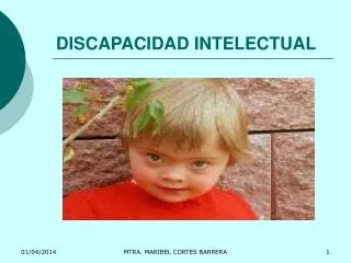 DISCAPACIDAD INTELECTUAL