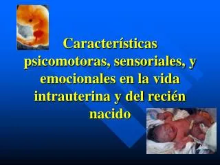Características psicomotoras, sensoriales, y emocionales en la vida intrauterina y del recién nacido