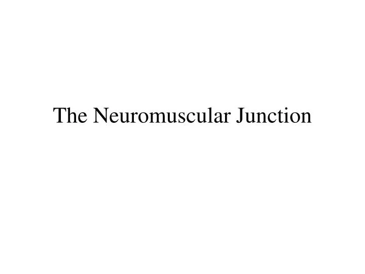 the neuromuscular junction