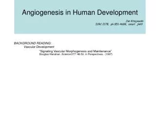 Angiogenesis in Human Development 							Jan Kitajewski 					ICRC 217B, ph 851-4688, email: jkk9