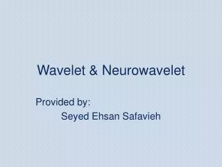 Wavelet &amp; Neurowavelet
