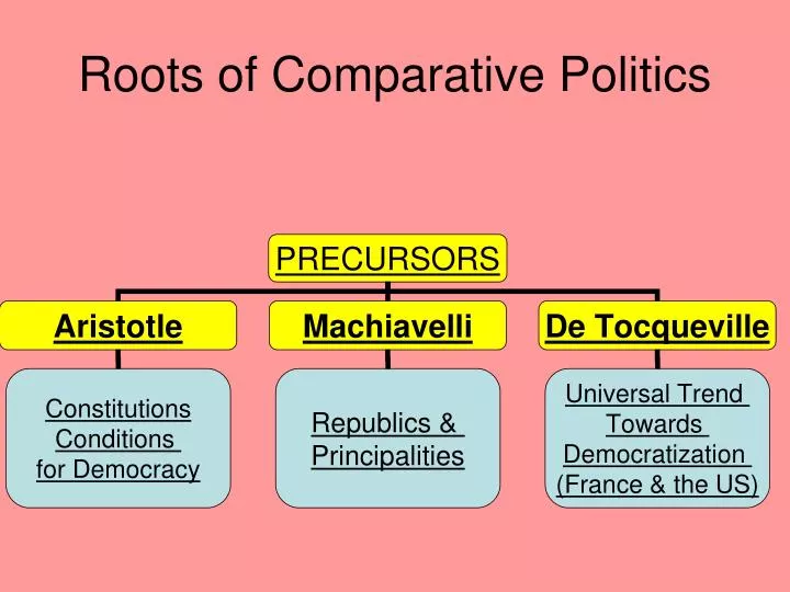 roots of comparative politics