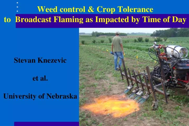 weed control crop tolerance to broadcast flaming as impacted by time of day