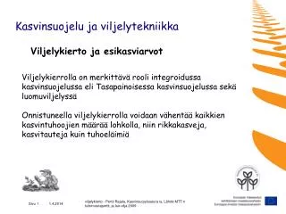 kasvinsuojelu ja viljelytekniikka