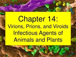Chapter 14: Virions, Prions, and Viroids Infectious Agents of Animals and Plants
