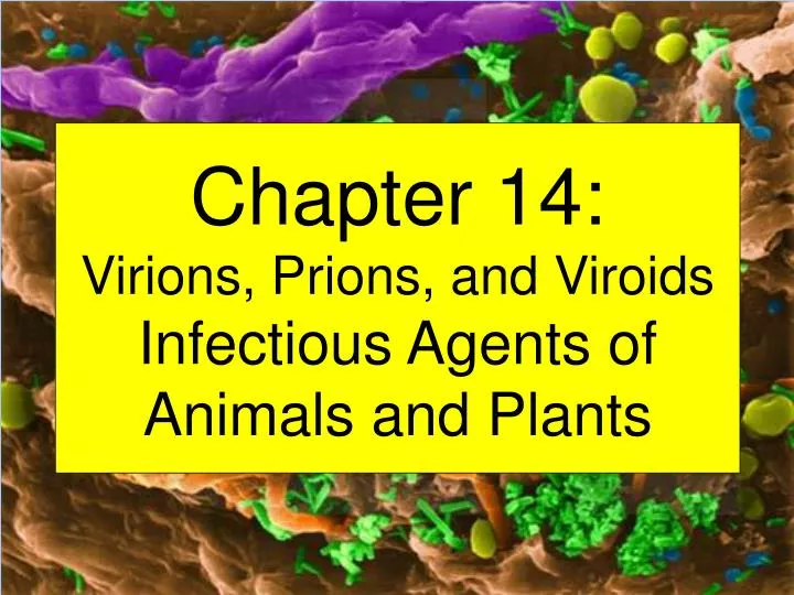 chapter 14 virions prions and viroids infectious agents of animals and plants
