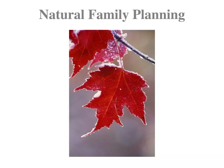 natural family planning