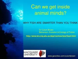 Can we get inside animal minds ?