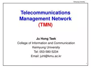 Telecommunications Management Network (TMN)