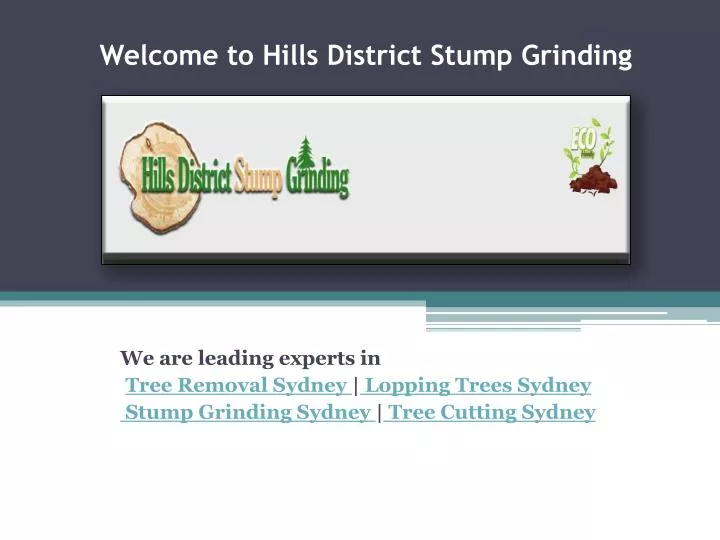 welcome to hills district stump grinding