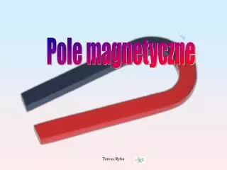 Pole magnetyczne