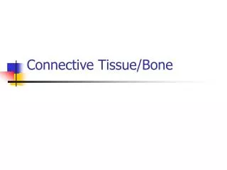 Connective Tissue/Bone