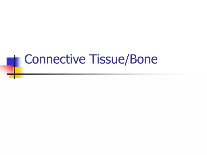 connective tissue bone