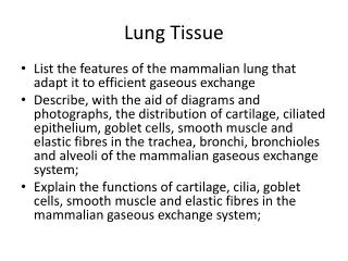 Lung Tissue