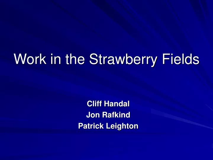 work in the strawberry fields