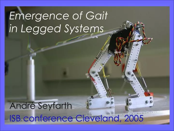 emergence of gait in legged systems