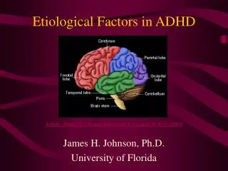 Etiological Factors in ADHD