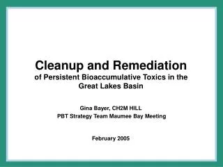 Cleanup and Remediation of Persistent Bioaccumulative Toxics in the Great Lakes Basin