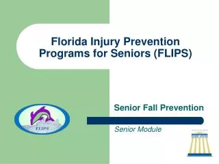 Florida Injury Prevention Programs for Seniors (FLIPS)