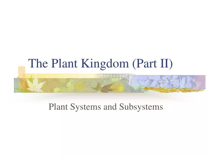 the plant kingdom part ii