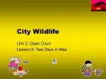 City Wildlife - slide 1