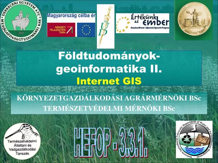 f ldtudom nyok geoinformatika ii internet gis