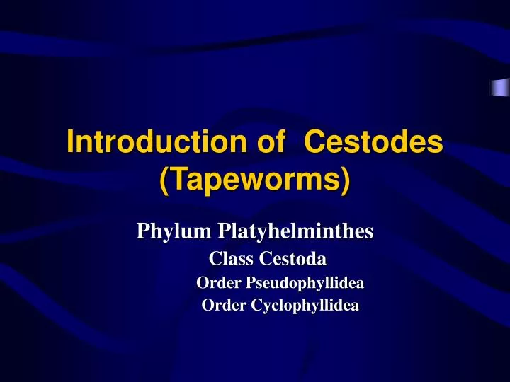 introduction of cestodes tapeworms
